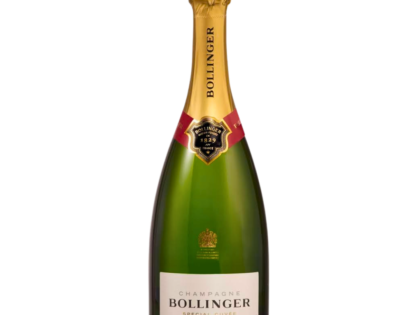 Champagne BOLLINGER SPECIAL CUVEE 750 ML