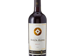 Tinto Santa Digna Merlot Gran Reserva 750 ml