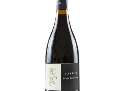 Vino Tinto Adobe de Guadalupe Gabriel 750 ml