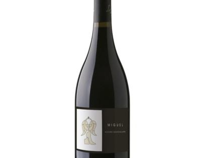 Vino Tinto Adobe de Guadalupe Miguel 750 ml