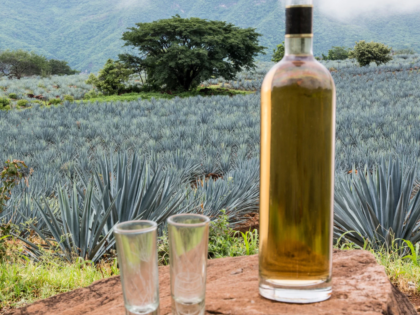 TEQUILA