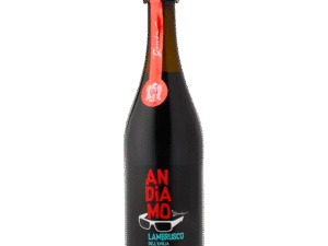 Vino Espumoso Lambrusco Andiamo 750 ml