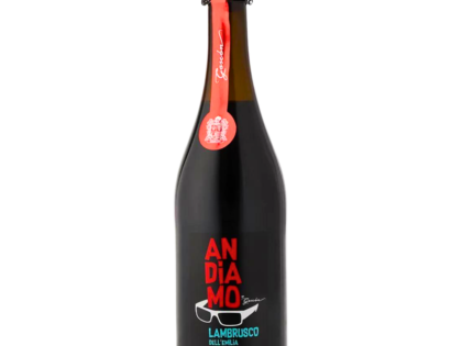Vino Espumoso Lambrusco Andiamo 750 ml