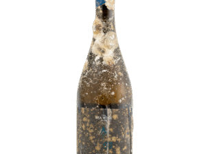 Albariño Submarina WO3 750 ml