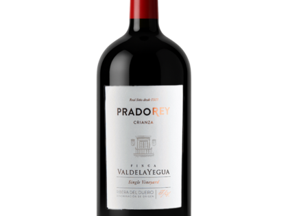 PradoRey Crianza 5 Litros